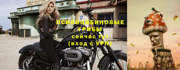 молекула духа Алзамай