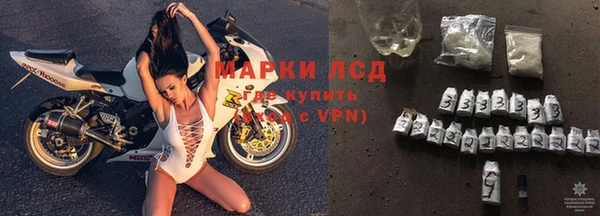 молекула духа Алзамай
