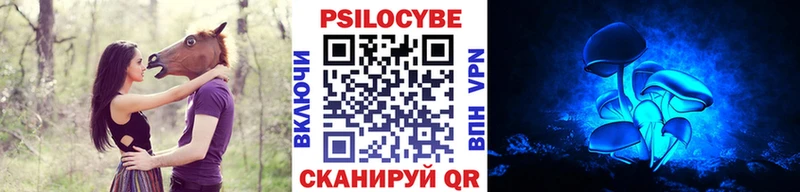 Галлюциногенные грибы GOLDEN TEACHER  закладки  Данков 